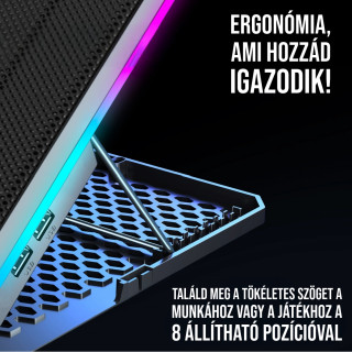 Spirit of Gamer AIRBLADE 1300 RGB Gamer Notebook Hűtőpad 19"