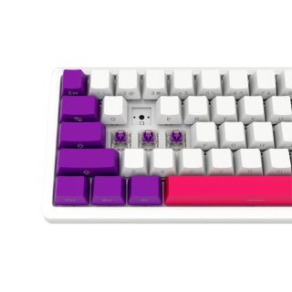 LORGAR KBP70MW, Vezetéknélküli 65% Mechanikus Gamer Pro Billentyűzet - Fehér