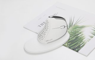 Delux M618XSD vezeték nélküli vertikális, ergonomikus egér Bluetooth + 2.4GHz RGB - Fehér