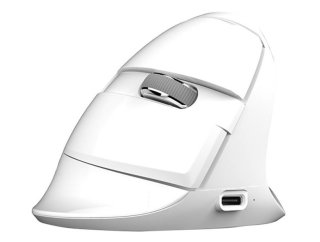 Delux M618Mini DB vezeték nélküli vertikális egér Bluetooth + 2.4GHz RGB - Fehér