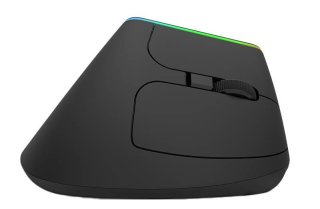 Delux M618DB vezeték nélküli vertikális egér Bluetooth + 2.4GHz RGB - Fekete