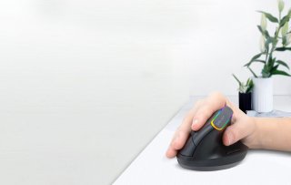 Delux M618DB vezeték nélküli vertikális egér Bluetooth + 2.4GHz RGB - Fekete