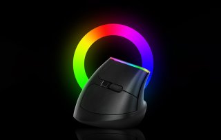 Delux M618DB vezeték nélküli vertikális egér Bluetooth + 2.4GHz RGB - Fekete