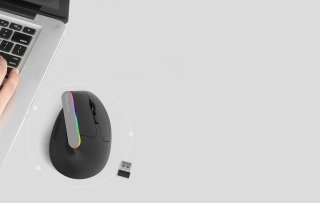 Delux M618DB vezeték nélküli vertikális egér Bluetooth + 2.4GHz RGB - Fekete