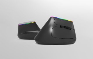 Delux M618DB vezeték nélküli vertikális egér Bluetooth + 2.4GHz RGB - Fekete