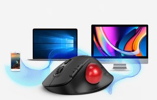 Delux MT1 DB vezeték nélküli ergonomikus egér Bluetooth + 2.4GHz - Fekete