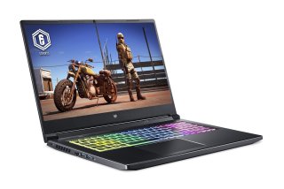Acer Predator Helios 300 - PH317-55-76GU