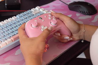 GameSir T4 Cyclone Pro Vezeték Nélküli Kontroller